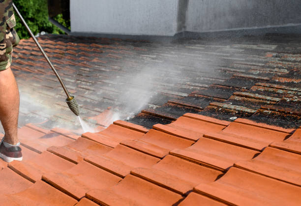 Best Affordable Pressure Washing  in St Francis, MN