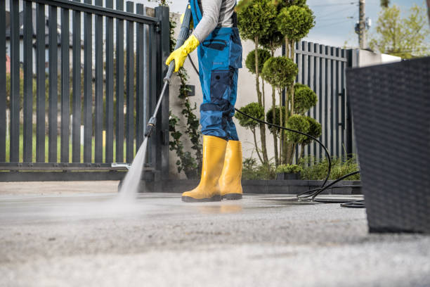 Best Fence Pressure Washing  in St Francis, MN