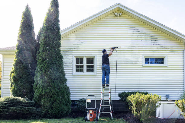 Best Commercial Building Pressure Washing  in St Francis, MN
