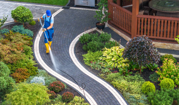 Best Concrete Pressure Washing  in St Francis, MN